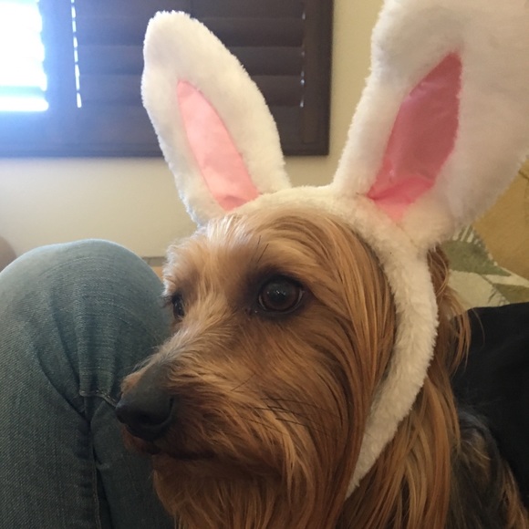 Meet your Posher, Cathy - Picture 5 of 5